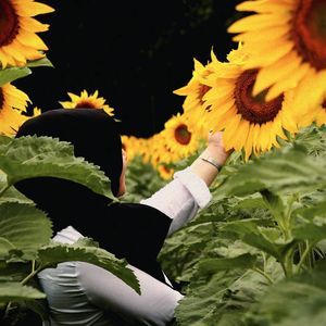 Meet your Posher, Ewrem merve